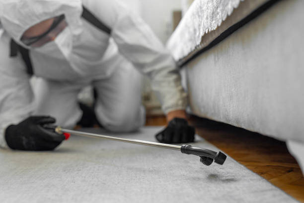 Professional Cockroach Control technician working in St. Paul, NE