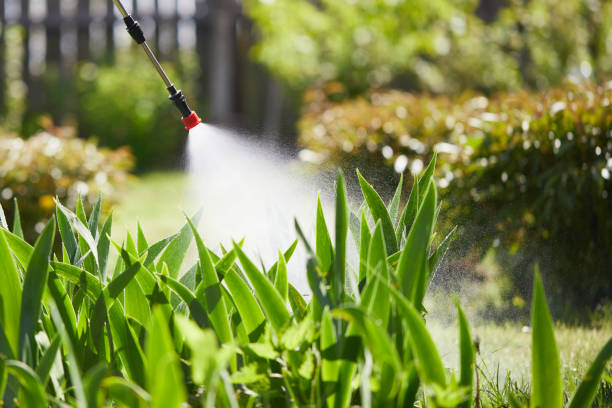 24/7 Emergency Cockroach Control experts in St. Paul, NE