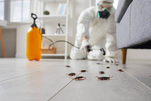Affordable Cockroach Control solutions in St. Paul, NE