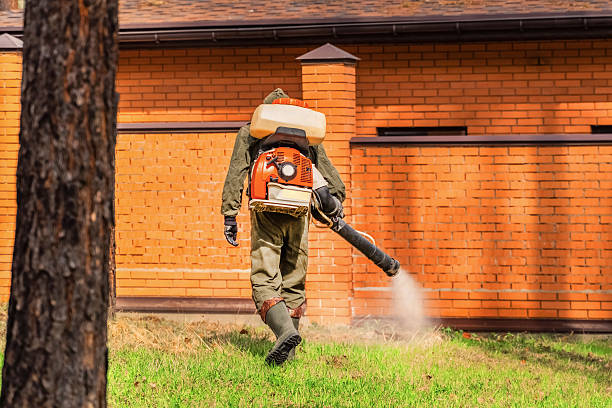 Top rated local Cockroach Control specialists in St. Paul, NE
